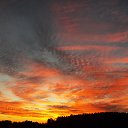 ���� �����, �����, 64 ���� - ��������� 12 ������� 2015 � ������ �"��������" �������� (1.10.2015)�