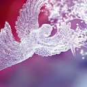   ))  !!!, , 70  -  29  2015    