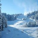 ���� �������, �������� - ��������� 29 ������ 2015