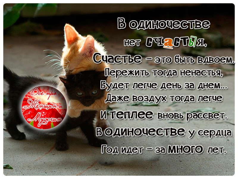 ������ - 1 ������ 2015 � 21:26