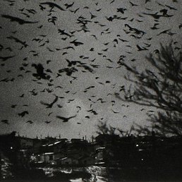 ���� Alex, ����������, 31 ��� - ��������� 28 ������� 2015