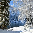 ���� �����, ������ - ��������� 4 ������� 2015 � ������ ������ ��������