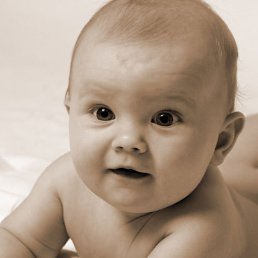 ����, ������, 40 ���