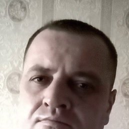 ���� ����, ������, 41 ��� - ��������� 11 ������� 2016