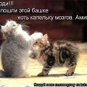 ���� �������, ��������, 38 ��� - ��������� 5 ������� 2015 � ������ ������ ��������