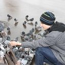 ���� ���a, �����������, 34 ���� - ��������� 31 ������� 2015 � ������ ���� ����������