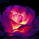 ���� ������, ������ - ��������� 10 ������� 2016 � ������ ���� ����������