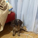 ���� �������, �������, 58 ��� - ��������� 30 ������� 2015 � ������ ���� ����������