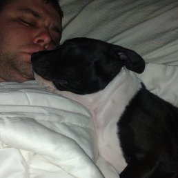 Risto, ������, 39 ���