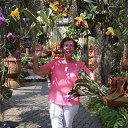 ���� �������, ����� - ��������� 5 ����� 2016 � ������ ���� ����������