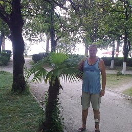 ����, �����-���������, 62 ����