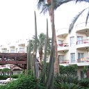 ���� ����, �������� - ��������� 12 ������� 2015 � ������ ���������� - ������� �������� 2015 ���