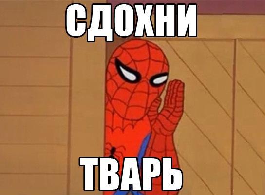 Коты воители / мемы , твоё мать остановите мой ор в 2024 г Кот-воитель, Мемы, См