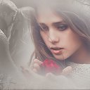 ���� �������, �������, 42 ���� - ��������� 11 ������� 2015 � ������ ������ ��������