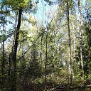 ���� Serega, ������ - ��������� 20 ������� 2015 � ������ ������ 2015�