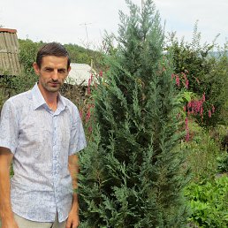 ���� ���������, �����������, 49 ��� - ��������� 3 ������� 2015