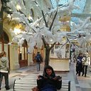 ���� �������, ���������, 61 ��� - ��������� 23 ������� 2016 � ������ ���� ����������