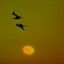���� ����� _118, ������������, 46 ��� - ��������� 14 ������� 2015 � ������ ������ ��������