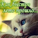 ���� Luba, ������� - ��������� 30 �������� 2015 � ������ ������ ��������