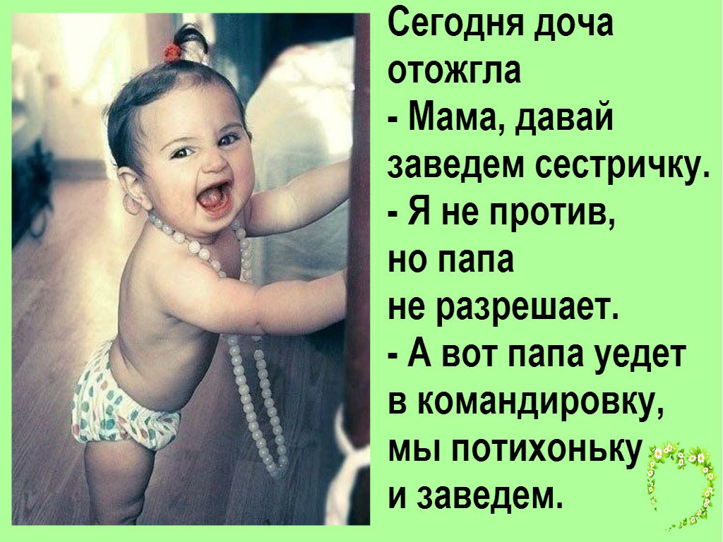 Мама давай заведем котенка анекдот. Мама давай заведем котенка анекдот. Золотая карусель пугачева. Дело потихоньку идет к весне. Поздравление с последним днем уходящего года.