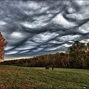 ���� �������, �����������, 41 ��� - ��������� 28 ������� 2015 � ������ ���� ����������