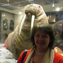 ���� ����, ������, 61 ��� - ��������� 6 ������ 2016 � ������ ������������� �����