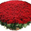 ���� *Ni��*, ������ - ��������� 26 ������ 2016 � ������ ���� ����������