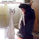 ���� ��������, ������ - ��������� 3 ������ 2016