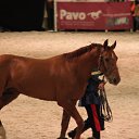 ���� ������, �����-���������, 70 ��� - ��������� 4 ������� 2015 � ������ ��� ������ �������� � �����-����������