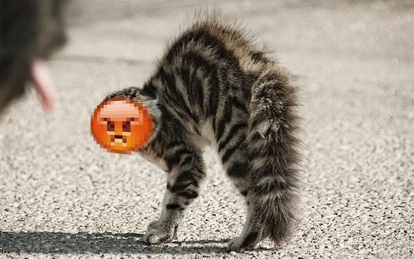 :3 - 3