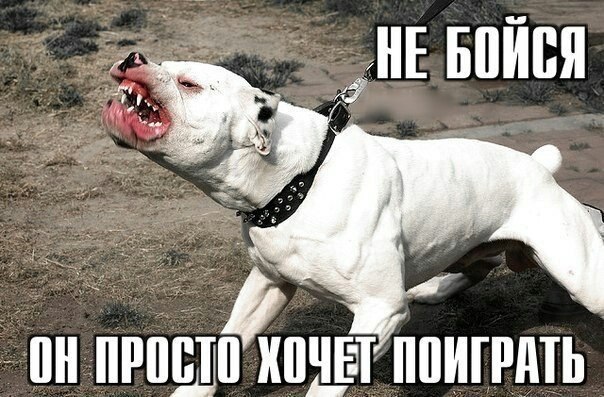    :-) - 24  2015  02:04