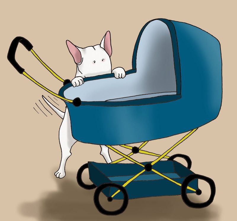 Приключения бультерьера Лены из Швеции=D