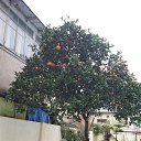 ���� ����, ������, 48 ��� - ��������� 15 ������ 2016 � ������ ���������