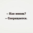 ���� ``Your_highness``, ��������� - ��������� 6 ����� 2016 � ������ ������ ��������