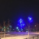 ���� ���������, ���������, 34 ���� - ��������� 24 ������� 2015 � ������ ���� ����������