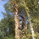 ���� ���������, ���������, 34 ���� - ��������� 5 ������� 2015 � ������ ������ ��������