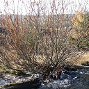 ���� �����, ����-���, 38 ��� - ��������� 18 ������� 2015 � ������ ���� ������ :)�