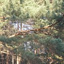 ���� ���������, ������, 55 ��� - ��������� 23 ������ 2015 � ������ ��������, ������ ��������