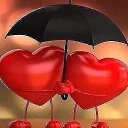 ���� ������, ��������� - ��������� 2 ������� 2015 � ������ ���� ����������