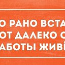 ���� �������, ������� - ��������� 18 ������� 2015 � ������ ������ ��������