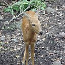 ���� ��������, ������� �������� - ��������� 5 ������ 2016