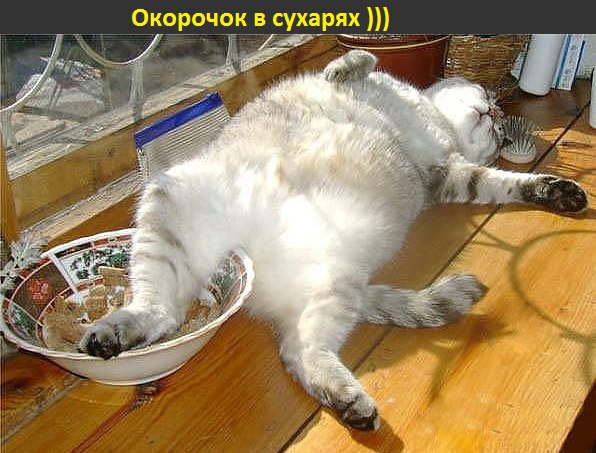 �������� �������� - 28 ������� 2015 � 18:23