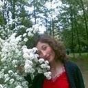 ���� ����, �������, 42 ���� - ��������� 26 ������� 2016 � ������ ���� ����������