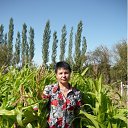 ���� ��������, ������, 58 ��� - ��������� 1 ������� 2016 � ������ ���� ���� ������