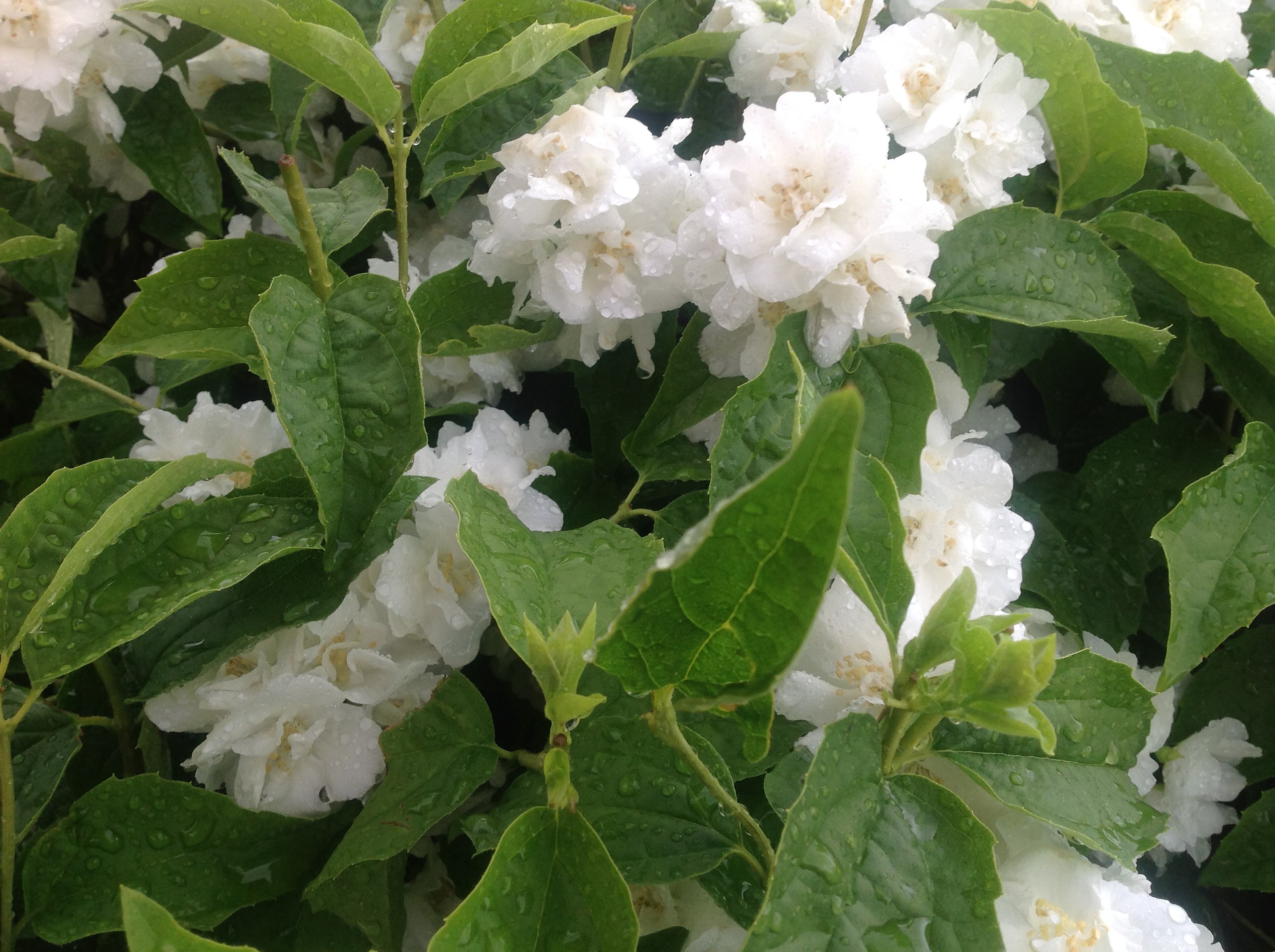 ������ - 23 ������ 2015 � 21:30