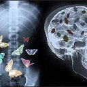 ���� �����, ����, 54 ���� - ��������� 14 ������� 2016 � ������ ���� ����������