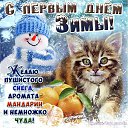 ���� �������, ��������, 66 ��� - ��������� 7 ������� 2015 � ������ ������ ��������