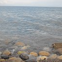 ���� ��������, ������ - ��������� 4 ������� 2015 � ������ �������� 2014�