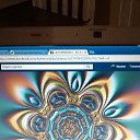 ���� Marni, ������, 62 ���� - ��������� 22 ������� 2016 � ������ ���� ����������