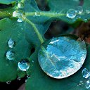 ������� 2015 �� ������� �����ܻ